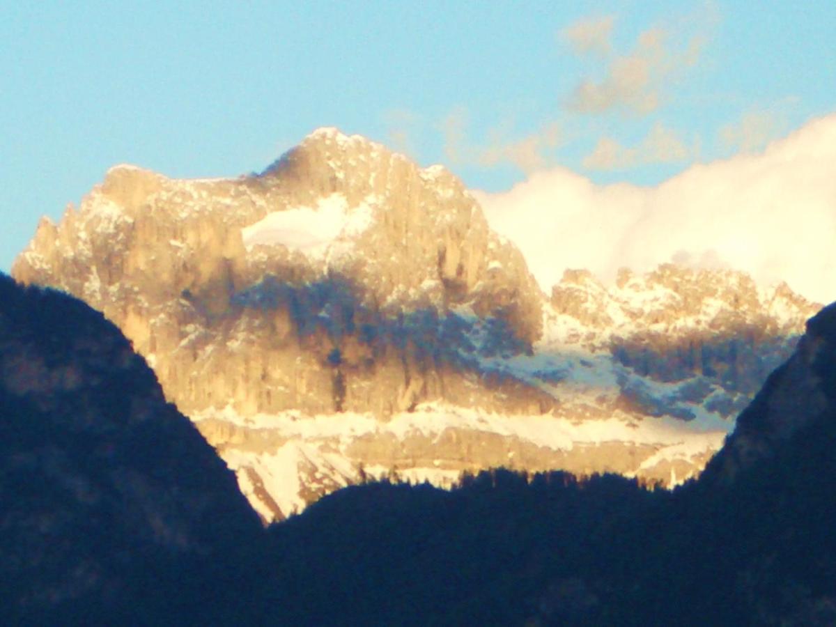 Bozen - Gries公寓 外观 照片